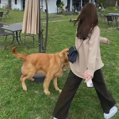 摇摆吉普赛